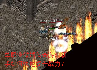 ��ְҵ΢�˴�����Ϸ������ο�������ս����