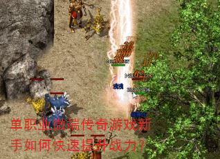 ��ְҵ΢�˴�����Ϸ������ο�������ս����