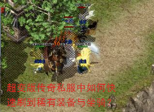 ����洫��˽������ο���ˢ��ϡ��װ�������