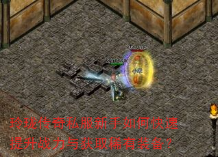 ���紫��˽��������ο�������ս�����ȡϡ��װ����