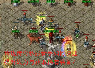 ���紫��˽��������ο�������ս�����ȡϡ��װ����