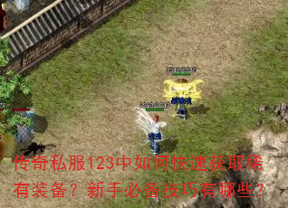 ����˽��123����ο��ٻ�ȡϡ��װ�������ֱر���������Щ��