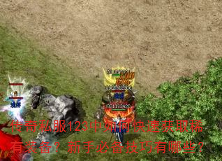 ����˽��123����ο��ٻ�ȡϡ��װ�������ֱر���������Щ��