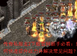 传奇私服龙2下载官网新手必看:如何快速提升战力并解决常见问题? 传奇私服龙2下载官网新手必看:如何快速提升战力并解决常见问题?