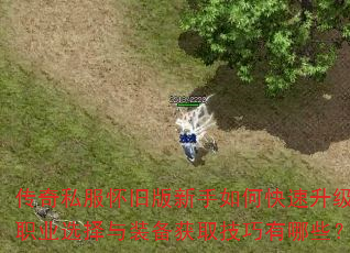 ����˽�����ɰ�������ο���������ְҵѡ����װ����ȡ��������Щ��