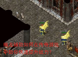 暗龙辅助如何在传奇游戏中助你快速提升战力? 暗龙辅助如何在传奇游戏中助你快速提升战力?