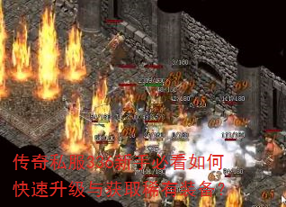 ����˽��336���ֱؿ���ο����������ȡϡ��װ����