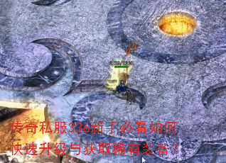 ����˽��336���ֱؿ���ο����������ȡϡ��װ����