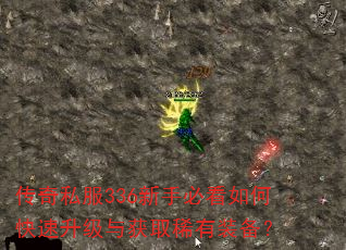 ����˽��336���ֱؿ���ο����������ȡϡ��װ����