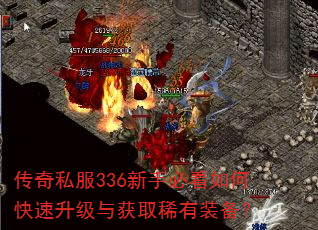 ����˽��336���ֱؿ���ο����������ȡϡ��װ����