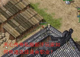 ���Ĵ���˽�����������ο���ѡ���ʺ�ְҵ��