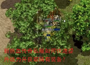 ����Ѫ����˽����ο�������ս������ȡϡ��װ����