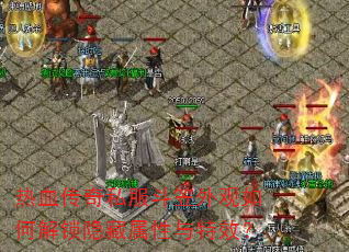 ��Ѫ����˽�����������ν���������������Ч��