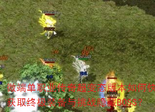 ΢�˵�ְҵ���泬��̬�汾��ο��ٻ�ȡ�ռ�װ������ս����BOSS��