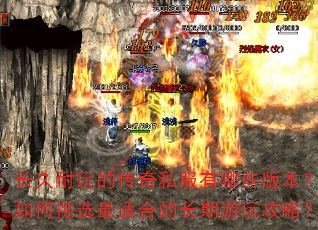 ��������Ĵ���˽������Щ�汾�������ѡ���ʺϵĳ������湥�ԣ�