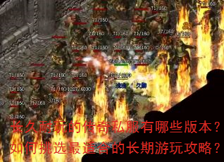 ��������Ĵ���˽������Щ�汾�������ѡ���ʺϵĳ������湥�ԣ�