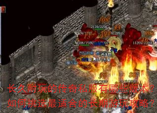 ��������Ĵ���˽������Щ�汾�������ѡ���ʺϵĳ������湥�ԣ�