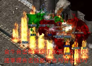 ��ţ�ϻ��������ֱؿ�����ο������պϻ������������������