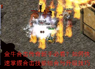 ��ţ�ϻ��������ֱؿ�����ο������պϻ������������������