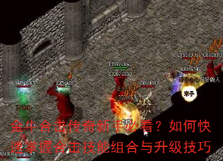 ��ţ�ϻ��������ֱؿ�����ο������պϻ������������������