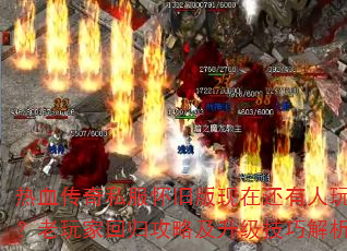 ��Ѫ����˽�����ɰ����ڻ�������������һع鹥�Լ��������ɽ���