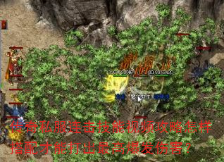 ����˽������������Ƶ��������������ܴ����߱����˺���