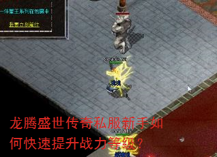 龙腾盛世传奇私服新手如何快速提升战力等级? 龙腾盛世传奇私服新手如何快速提升战力等级?