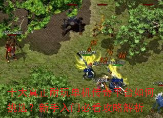 ʮ���������浥������ƽ̨�����ѡ���������űؿ����Խ���