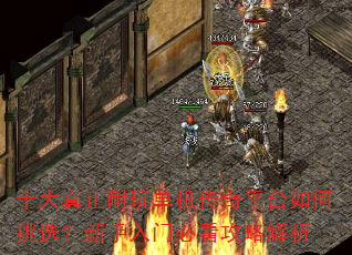 ʮ���������浥������ƽ̨�����ѡ���������űؿ����Խ���