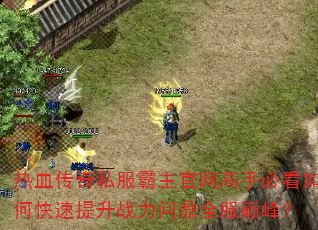 热血传奇私服霸主官网高手必看如何快速提升战力问鼎全服巅峰? 热血传奇私服霸主官网高手必看如何快速提升战力问鼎全服巅峰?