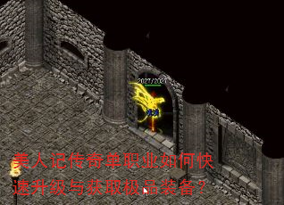 ���˼Ǵ��浥ְҵ��ο����������ȡ��Ʒװ����