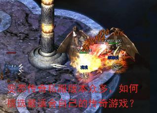 ��̬����˽���汾�ڶ࣬�����ѡ���ʺ��Լ��Ĵ�����Ϸ��