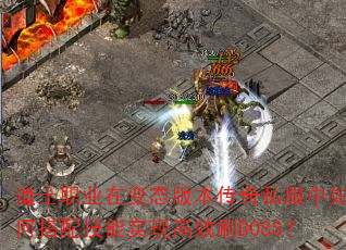 ��ʿְҵ�ڱ�̬�汾����˽������δ��似��ʵ�ָ�ЧˢBOSS��