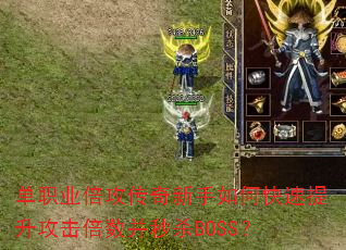 ��ְҵ��������������ο�������������������ɱBOSS��