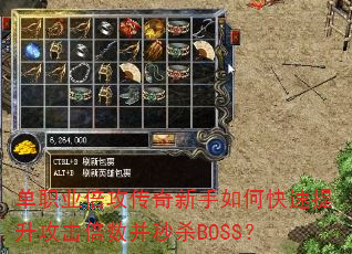 ��ְҵ��������������ο�������������������ɱBOSS��