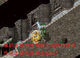 ��ְҵ��������������ο�������������������ɱBOSS��