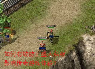 �����Ч��ֹʢ��˽��Ӱ�촫����Ϸ���飿