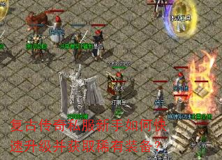 ���Ŵ���˽��������ο�����������ȡϡ��װ����