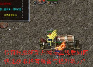 ����˽��SF�¿���վ���ߺ���ο��ٻ�ȡϡ��װ��������ս����