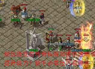 ������̬����˽����ο���ˢװ������ս�������ֱؿ���������Щ��