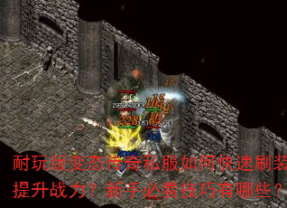 ������̬����˽����ο���ˢװ������ս�������ֱؿ���������Щ��