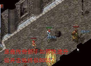 ��¹����������ο��������������ռ�BOSS��