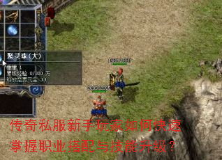 ����˽�����������ο�������ְҵ�����뼼��������