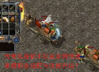 ����˽�����������ο�������ְҵ�����뼼��������