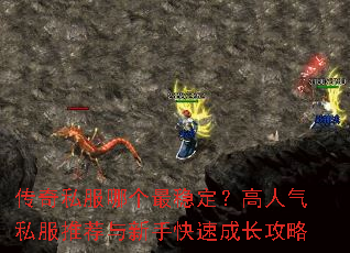 ����˽���ĸ����ȶ���������˽���Ƽ������ֿ��ٳɳ�����