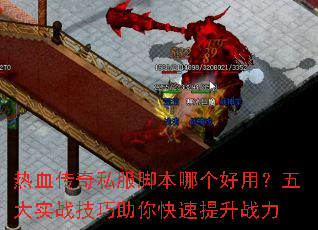 ��Ѫ����˽���ű��ĸ����ã����ʵս���������������ս��