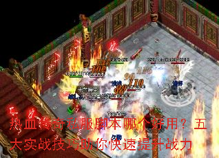 ��Ѫ����˽���ű��ĸ����ã����ʵս���������������ս��