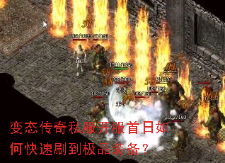 ��̬����˽������������ο���ˢ����Ʒװ����