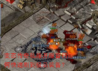 ��̬����˽������������ο���ˢ����Ʒװ����