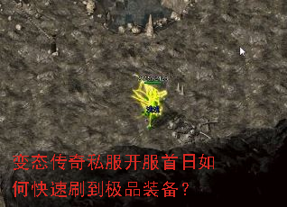 ��̬����˽������������ο���ˢ����Ʒװ����